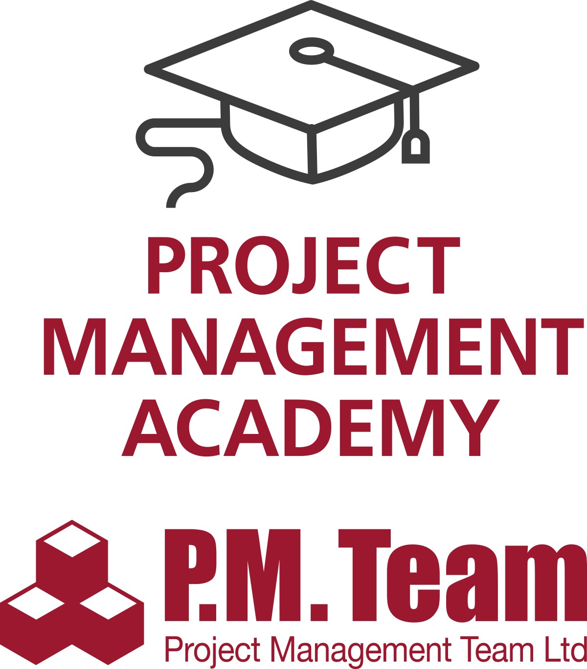 PMTEAM ACADAMY logo