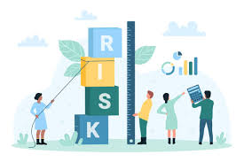 Risk management in projects