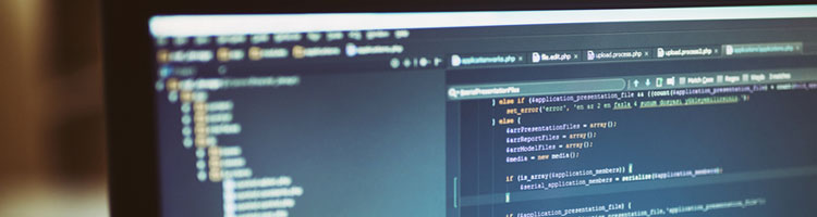 קורס ניהול פרויקטים באמצעות סימולטור development