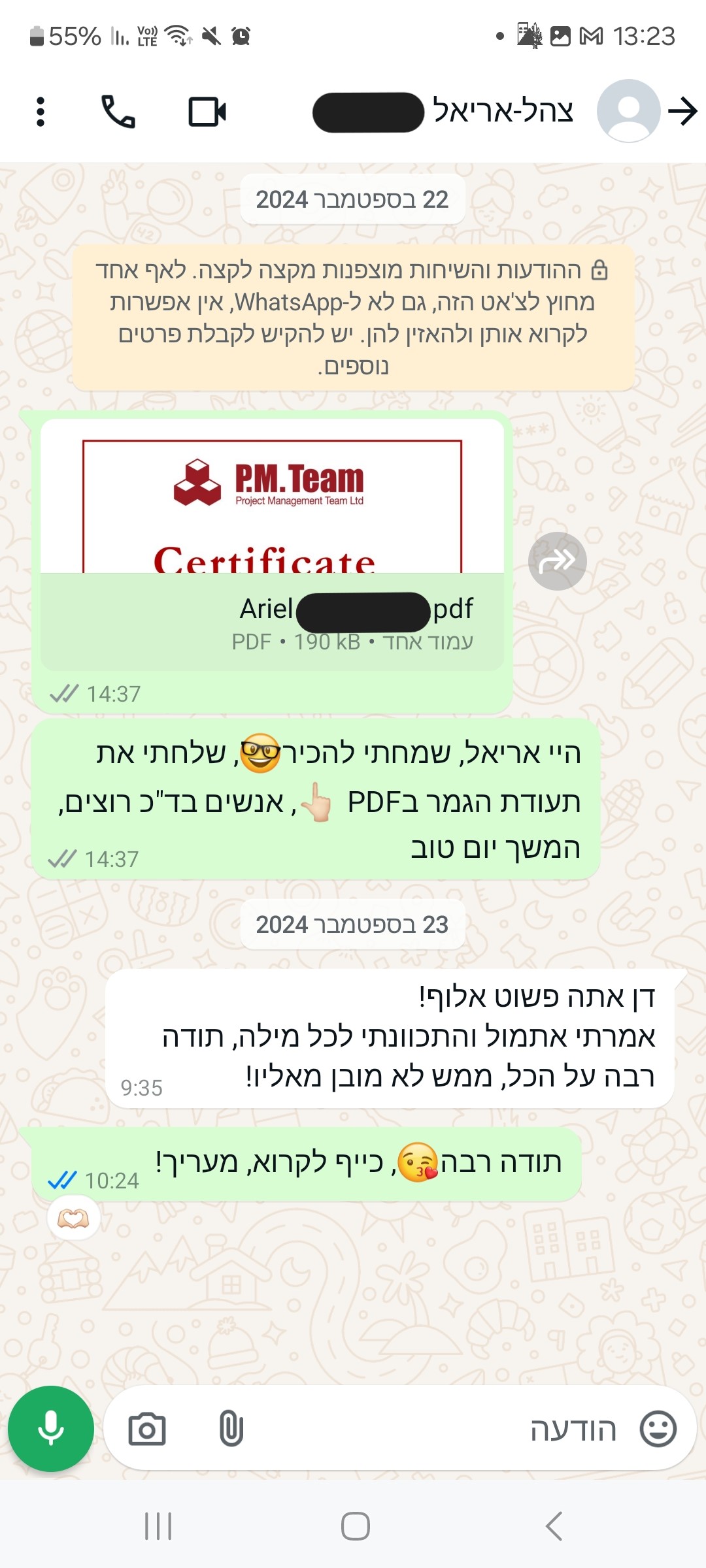 IDF Ariel