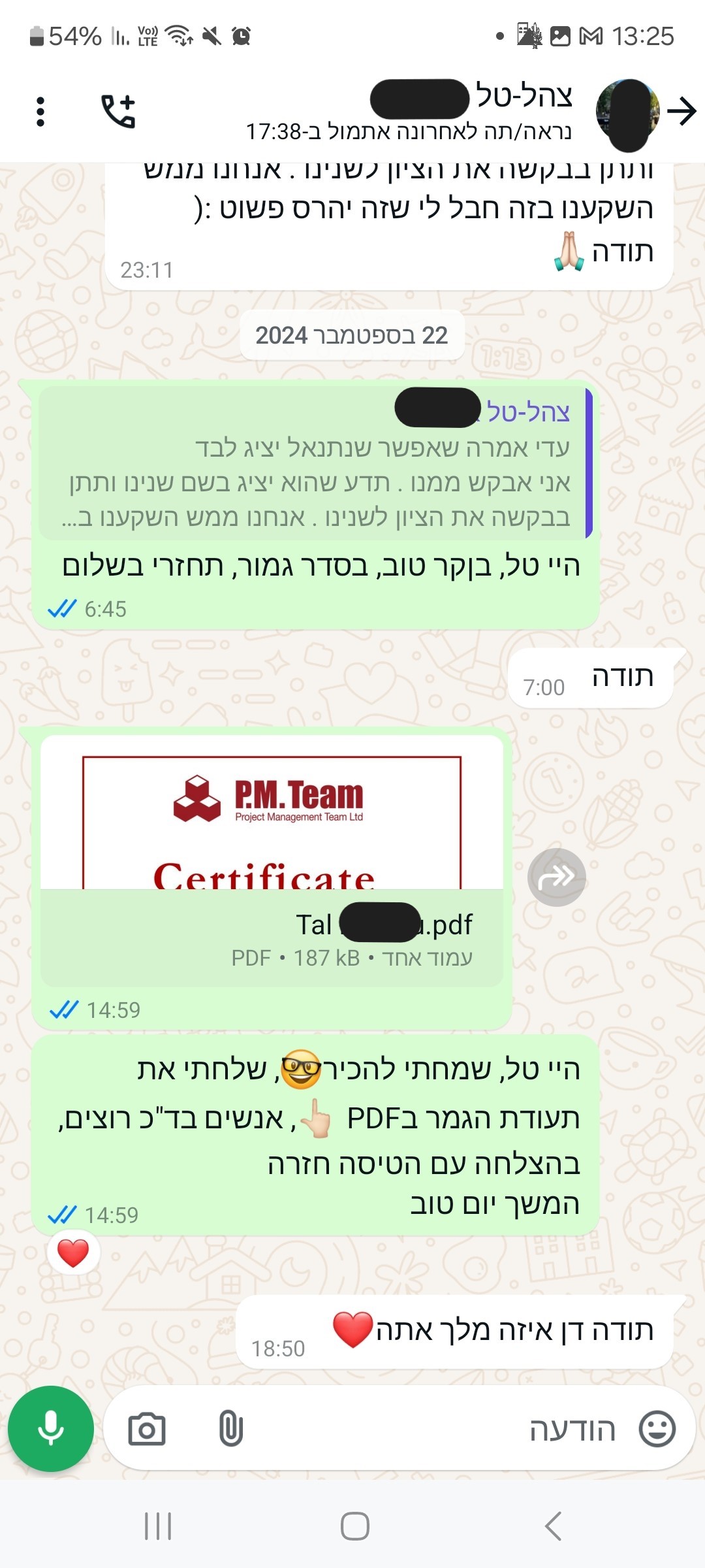 IDF Tal